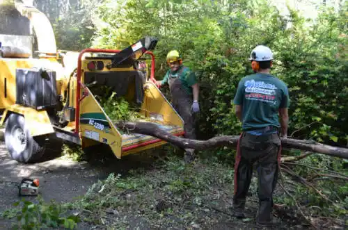 tree services Huxley